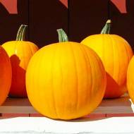 Гарбуз Паризький золотий за 5 нас.