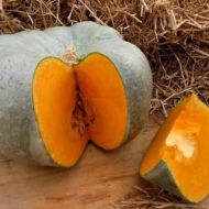 Гарбуз Зимовий солодкий