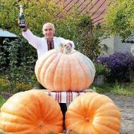 Гарбуз Титан