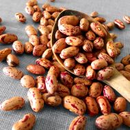 Квасоля кущова Рось