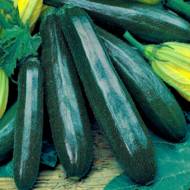 Кабачок Чорний красень