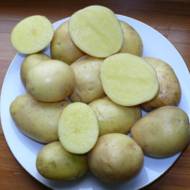 Насіннєва картопля Мадлен