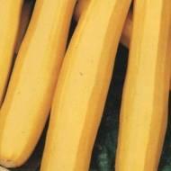 Кабачок Атена Полька F1 за 5 нас.