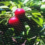 Защитная сетка от птиц за 4 м х 5 м