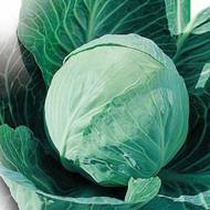 Капуста Ярославна за 0,5 г