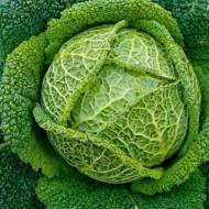 Капуста Савойська за 0,5 г