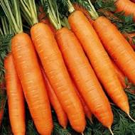 Морковь Берликумер