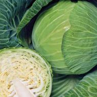 Капуста Екстра F1 за 0,5 г