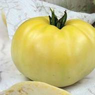 Томат Белая вишня за 0,1 г