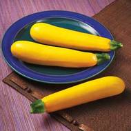 Кабачок Голдэн Глори F1