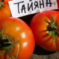 Томат Таяна за 0,1 г