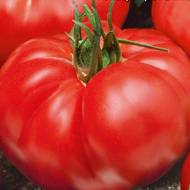 Томат Ранняя любовь за 0,1 г