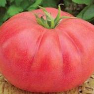 Томат Сахарный бизон за 0,1 г