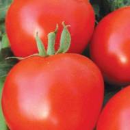 Томат Астероид за 0,1 г