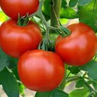 Томат Брунелло за 0,1 г