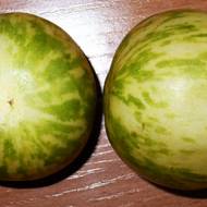 Томат Зебра белая за 0.1 г