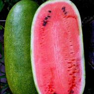 Кавун Чарльстон Грей