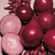 Цибуля саджанка Кармен