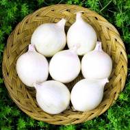 Цибуля саджанка Сноубол