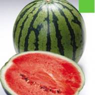 Кавун Ярило  за 2 г