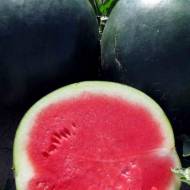 Кавун Мішутка F1 за 0,5 г