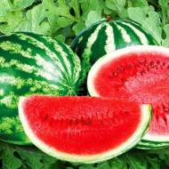 Кавун Альянс за 2 г