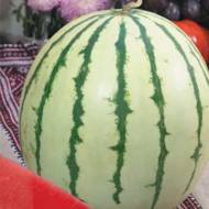 Кавун Борисфен за 1,5 г