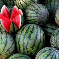 Кавун Голопристанський за 2 г