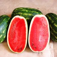 Кавун Длінномір F1 за 0,7 г