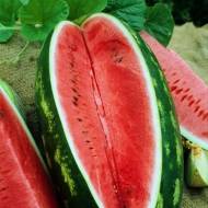 Кавун Кароліна Грос