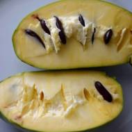 Саджанець Азиміна Маріас Джой