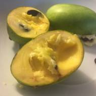 Саженец  Азимина Саммер Делайт