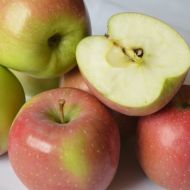 Саджанець Яблуня Флоріна