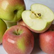 Саджанець Яблуня Флоріна