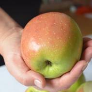 Саженец Яблоня Флорина