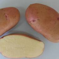 Семенной картофель Тирас