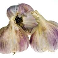 Часник Дюшес