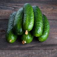 Огірок Кміціц F1 за 0,5 г