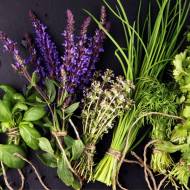 Комплект зелені «Пряний смак»