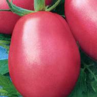 Томат Рожевий фламінго за 0,1 г