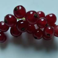 Саженец Красная смородина Йота в контейнере