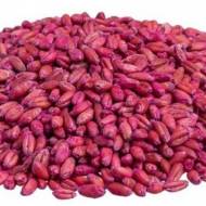 Зерновая приманка от мышей и крыс