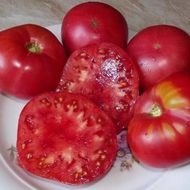 Томат Ельдорадо рожевий за 0,1 г