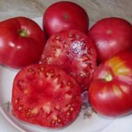 Томат Ельдорадо рожевий за 0,1 г