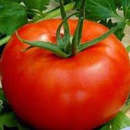 Томат Беталюкс за 0,1 г