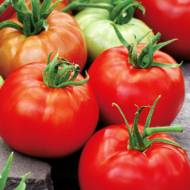Томат Братская мечта за 0,1 г