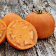 Томат Солидо F1