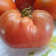 Томат Любимий за 0,3 г
