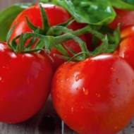 Томат Вашингтон за 0,1 г