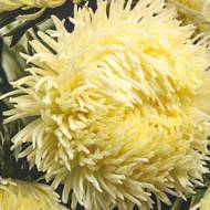 Айстра Дракон жовтий за 0,3 г